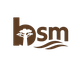 Bsm